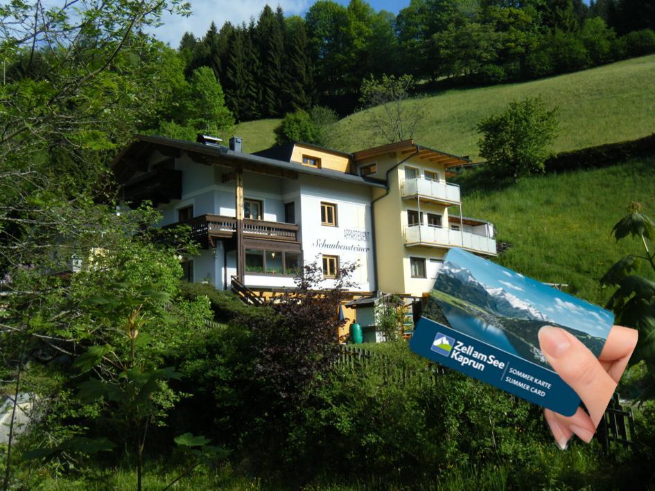 Appartement Schaubensteiner Zell am See Dış mekan fotoğraf